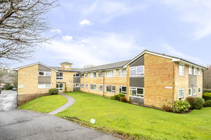 Photo 11- click for photo gallery